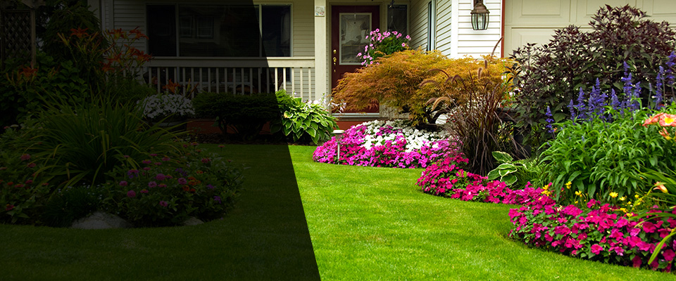 Belton Landscapers