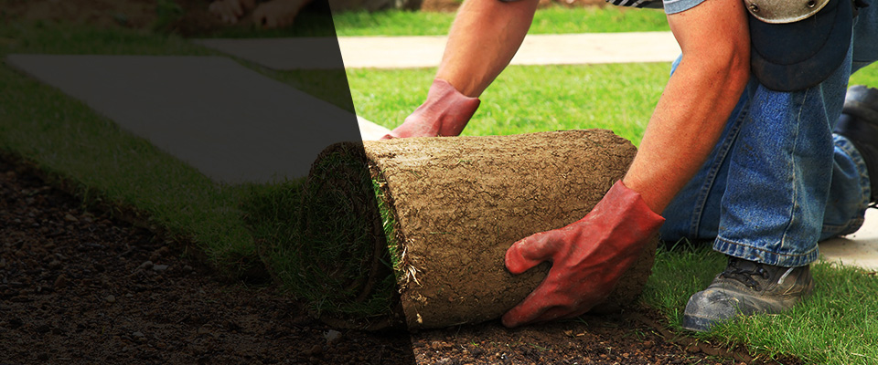 Belton Landscapers